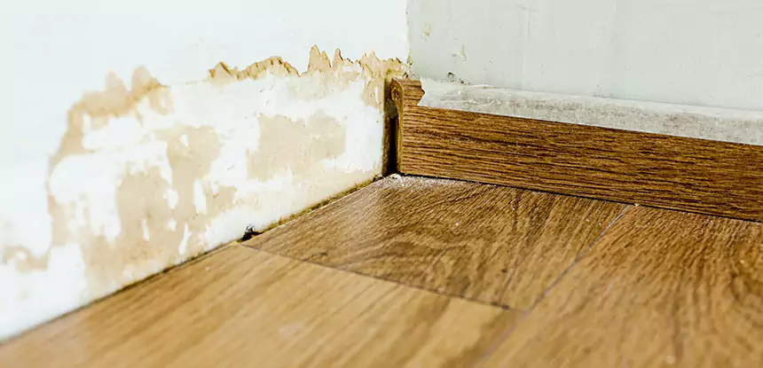 Professional Fix Water Damaged Wood Services in Newnan, GA