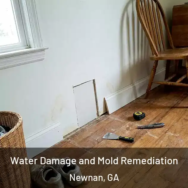  Water Damage and Mold Remediation Newnan, GA