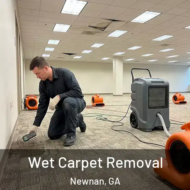  Wet Carpet Removal Newnan, GA